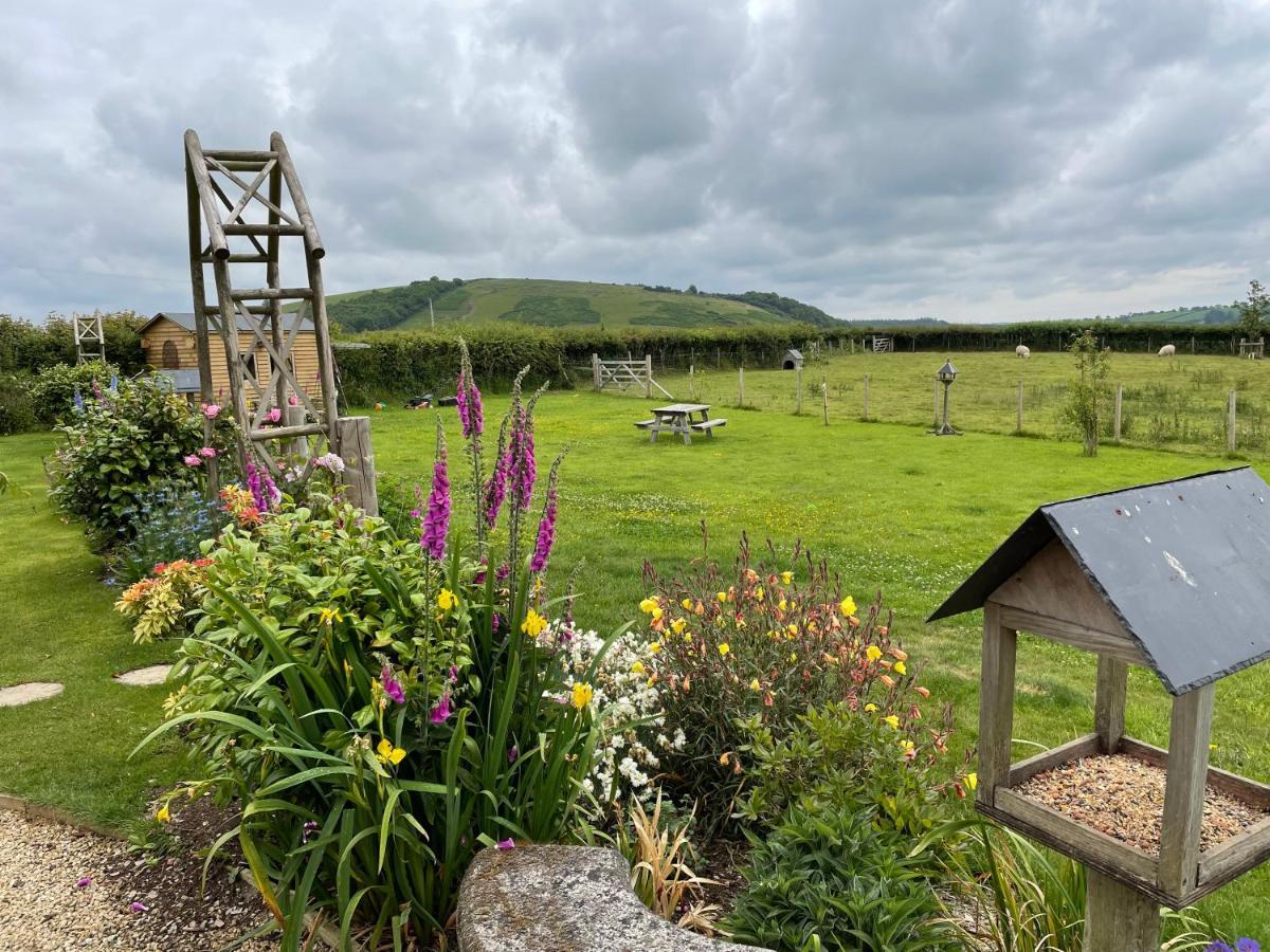 Westerley Country B & B With Exclusive Guest Lounge Buckfastleigh Buitenkant foto