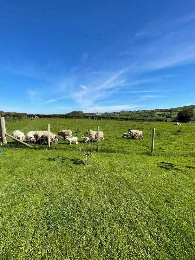 Westerley Country B & B With Exclusive Guest Lounge Buckfastleigh Buitenkant foto