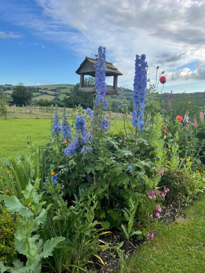 Westerley Country B & B With Exclusive Guest Lounge Buckfastleigh Buitenkant foto