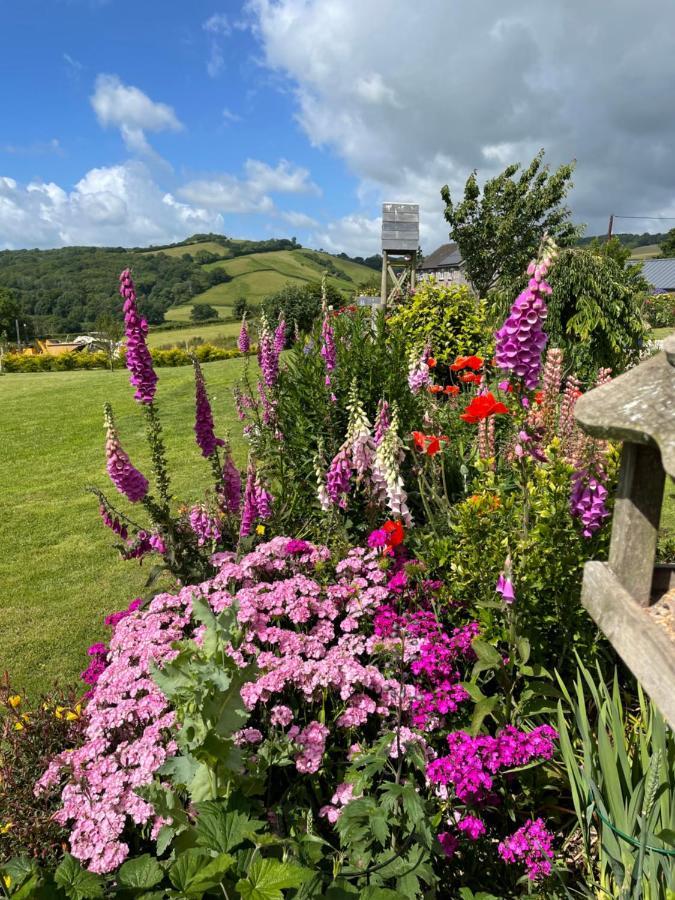 Westerley Country B & B With Exclusive Guest Lounge Buckfastleigh Buitenkant foto