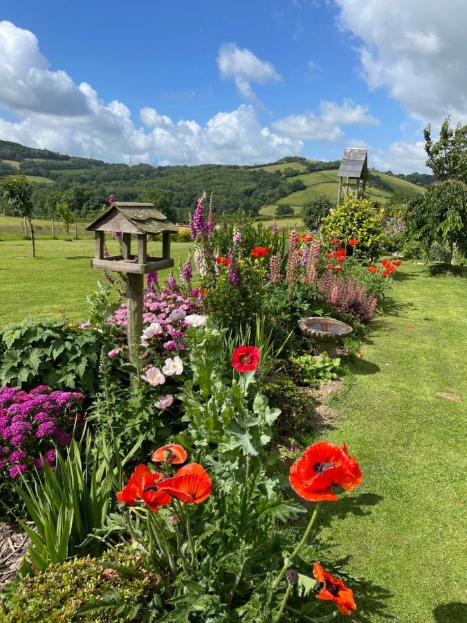 Westerley Country B & B With Exclusive Guest Lounge Buckfastleigh Buitenkant foto