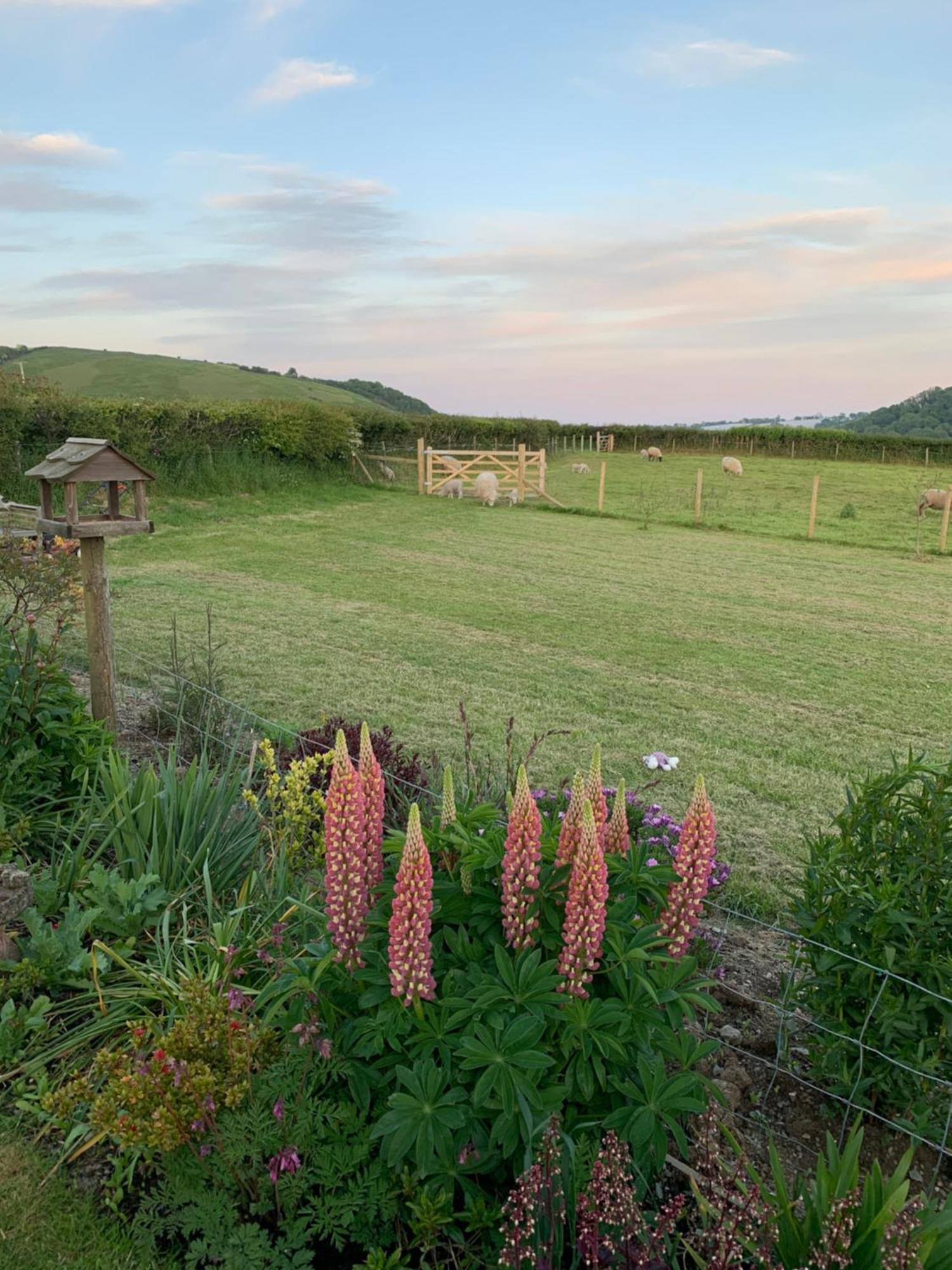 Westerley Country B & B With Exclusive Guest Lounge Buckfastleigh Buitenkant foto