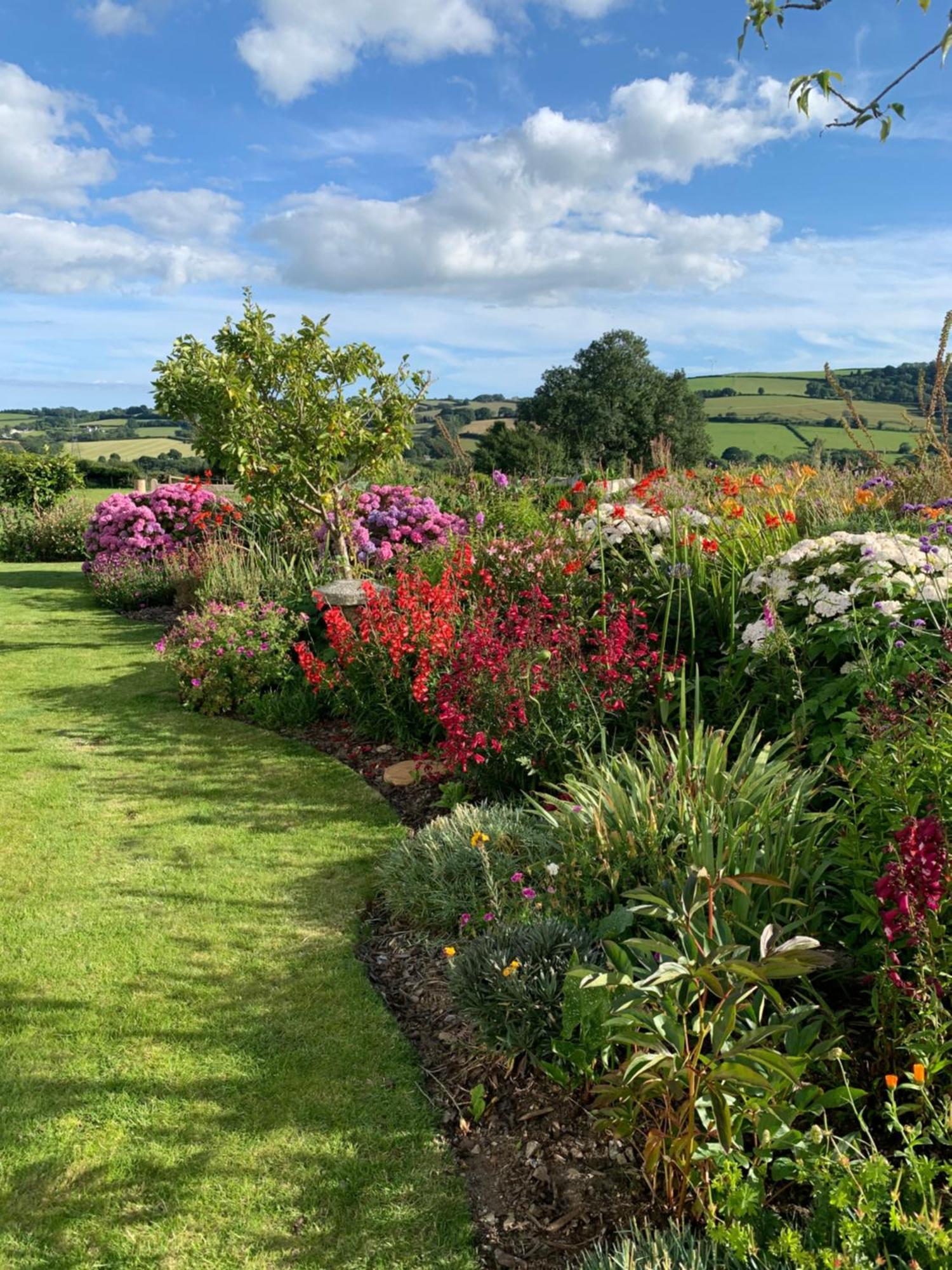 Westerley Country B & B With Exclusive Guest Lounge Buckfastleigh Buitenkant foto